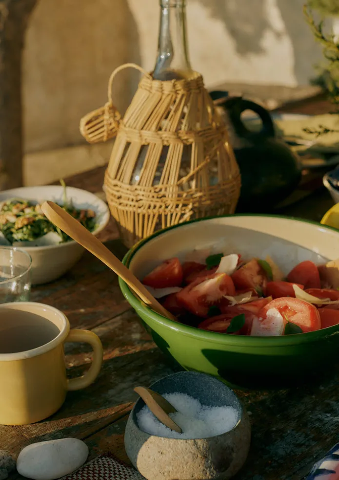 Enamel Salad Bowl