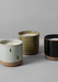 Giant Fir and Mountain Juniper Scented Candle