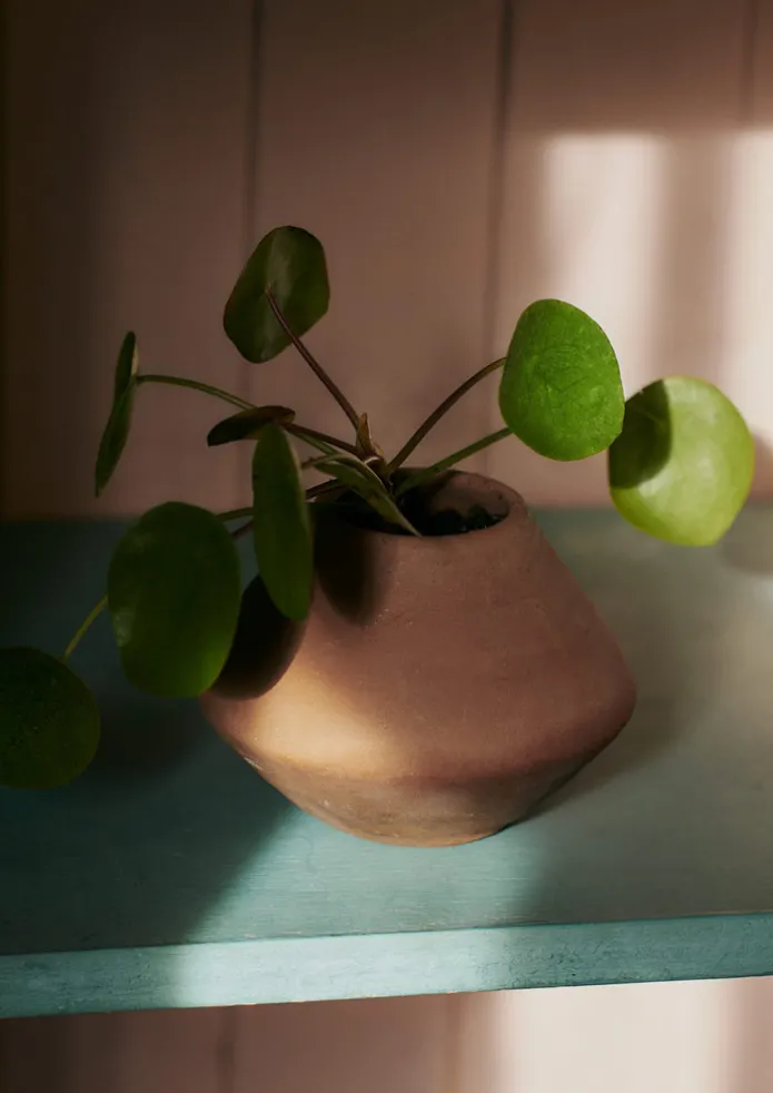 Lopa Terracotta Planter