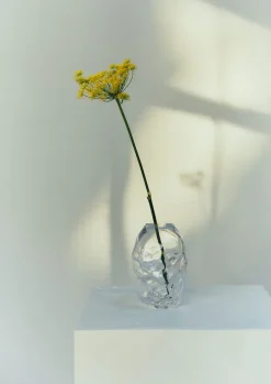 Rosie Stonham Medium Membrane Vase