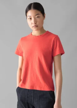 Sadie Organic Cotton Boy Tee