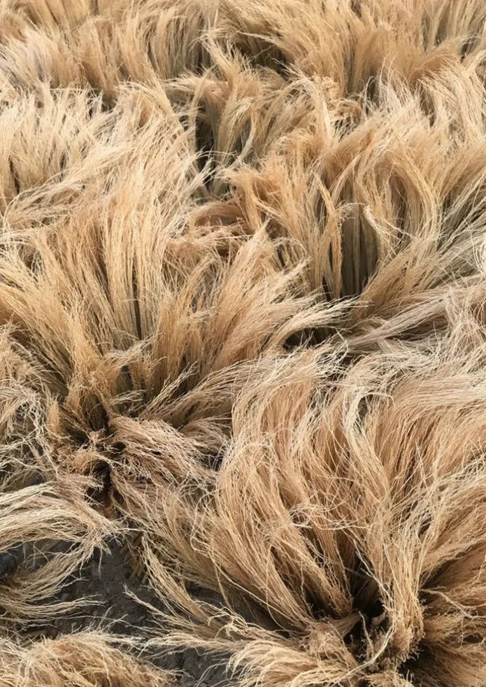Sorghum Stripe Short Handled Brush